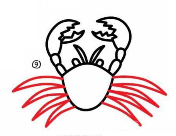 Childrens simple crab drawing