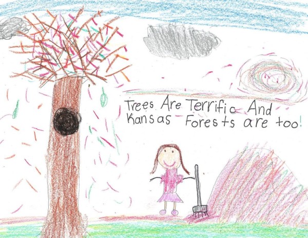 Caring for big trees and sharing Arbor Day children’s drawings