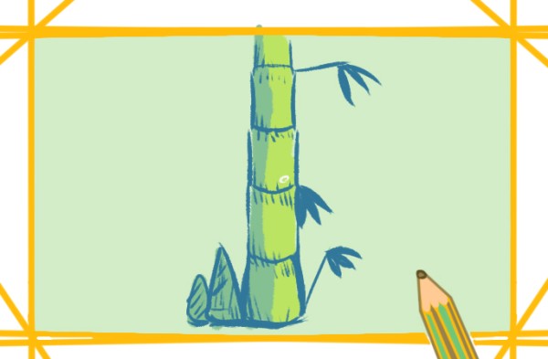 How to draw elegant bamboo