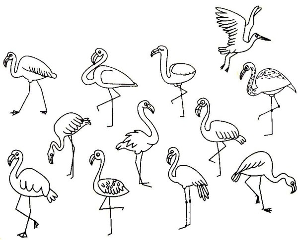 Complete collection of flamingo simple strokes and drawing steps