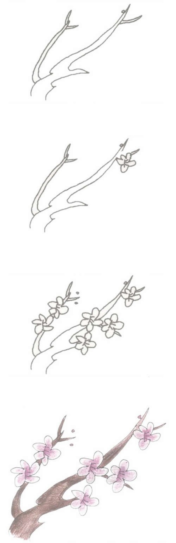 How to draw simple and beautiful plum blossoms