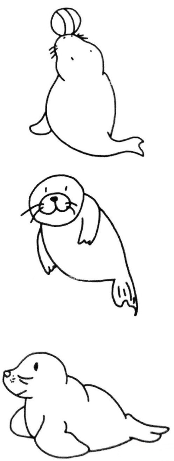 Cute little sea lion simple strokes