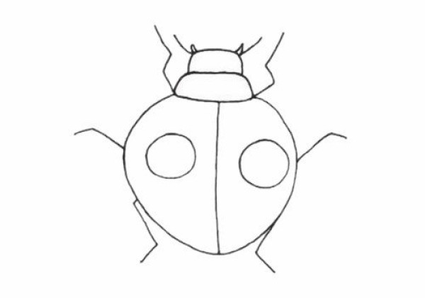 How to draw a simple beetle