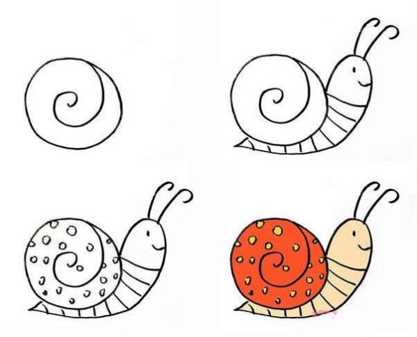 How to draw a cartoon snail for coloring