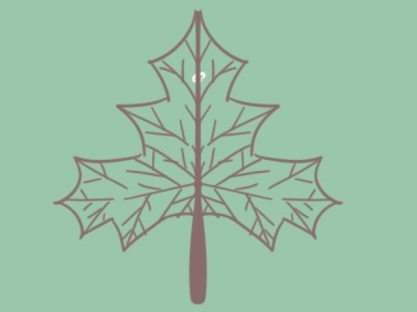 How to draw fiery red maple leaves