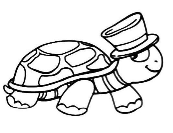 How to draw a cartoon turtle