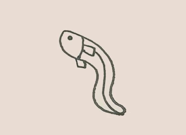 Simple drawing of eel