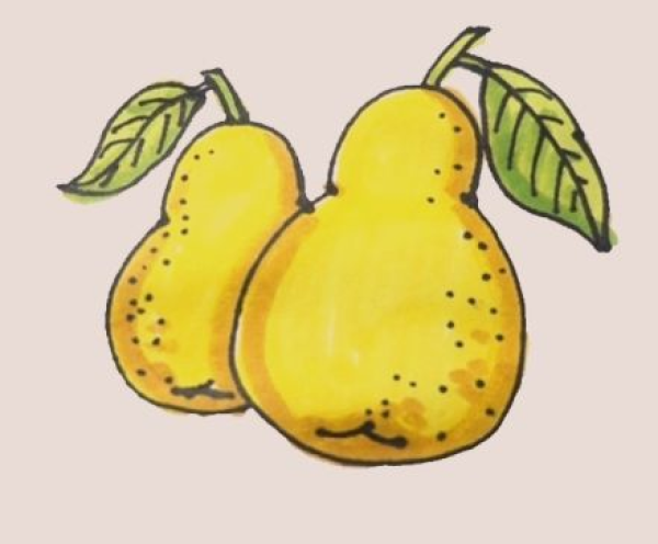 Simple drawing of pear