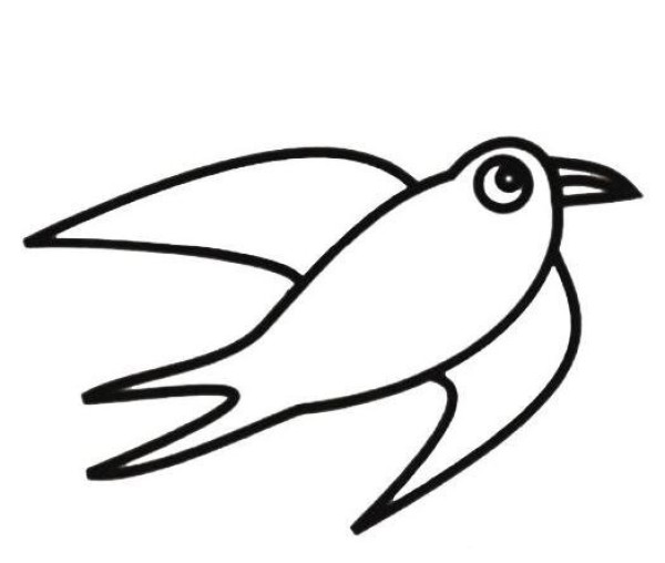 How to draw a flying swallow