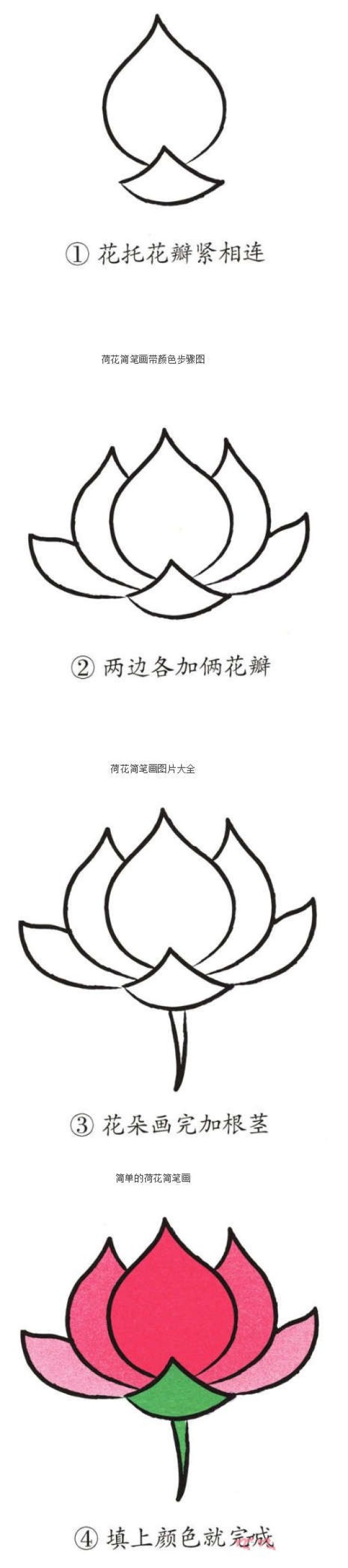 Teach you how to draw beautiful lotus flowers