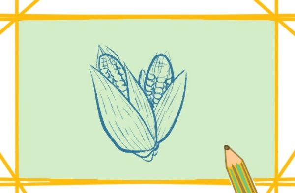 Beautiful simple drawing of corn