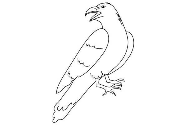 How to draw a crow in simple strokes