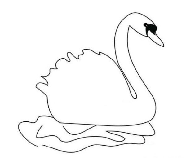 Teach you how to draw beautiful swans