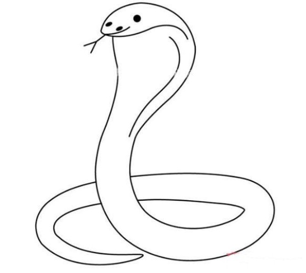 How to Draw a Cobra