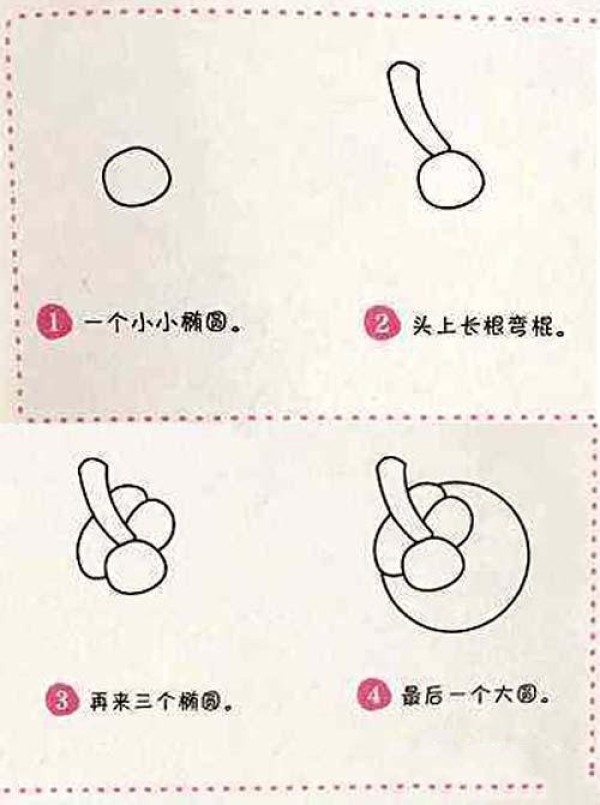 How to draw mangosteen