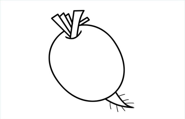 How to draw simple radish drawings