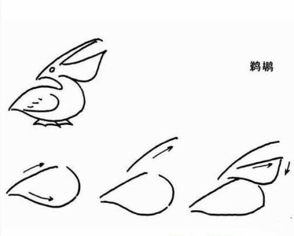 Childrens simple drawing tutorial Pelican