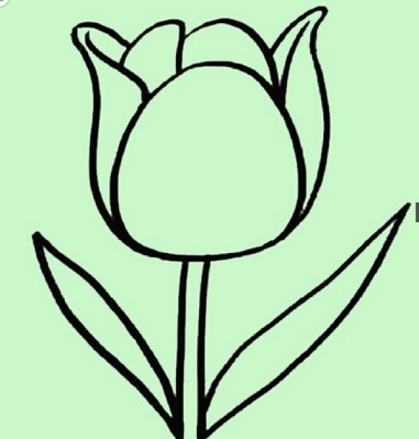 Beautiful simple drawing pictures of tulips