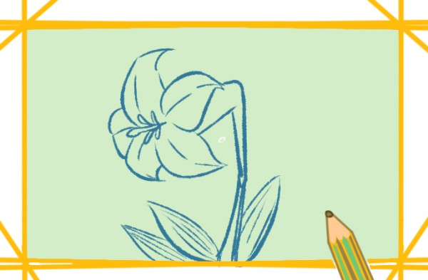 How to draw white lilies