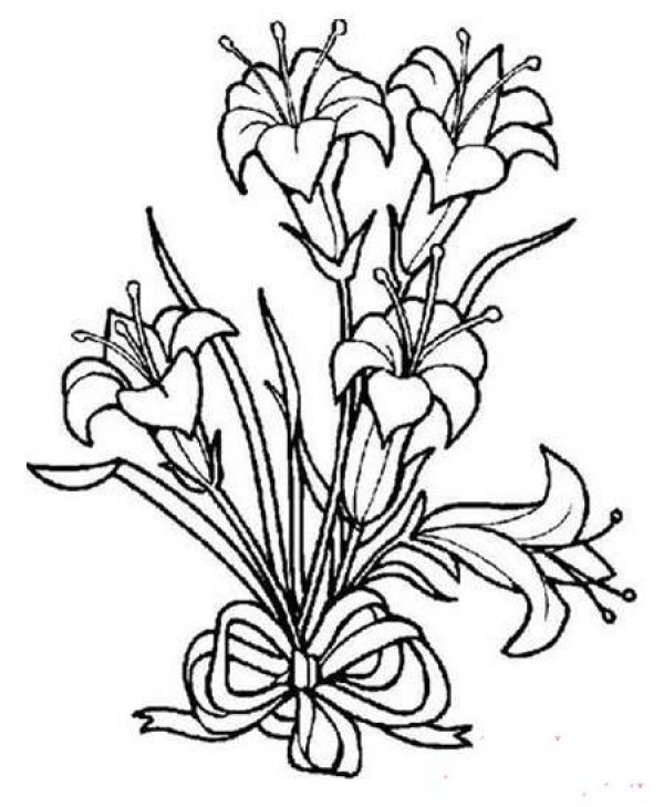 A bouquet of beautiful lilies simple drawing picture