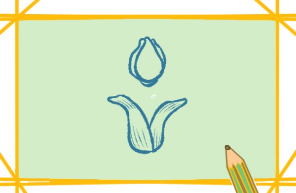 How to draw a tulip