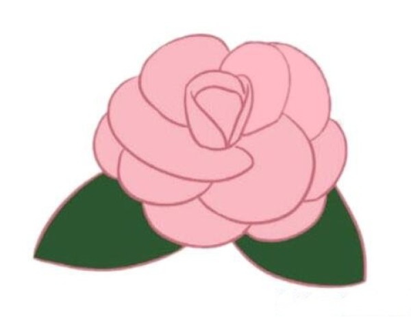 How to draw beautiful camellias