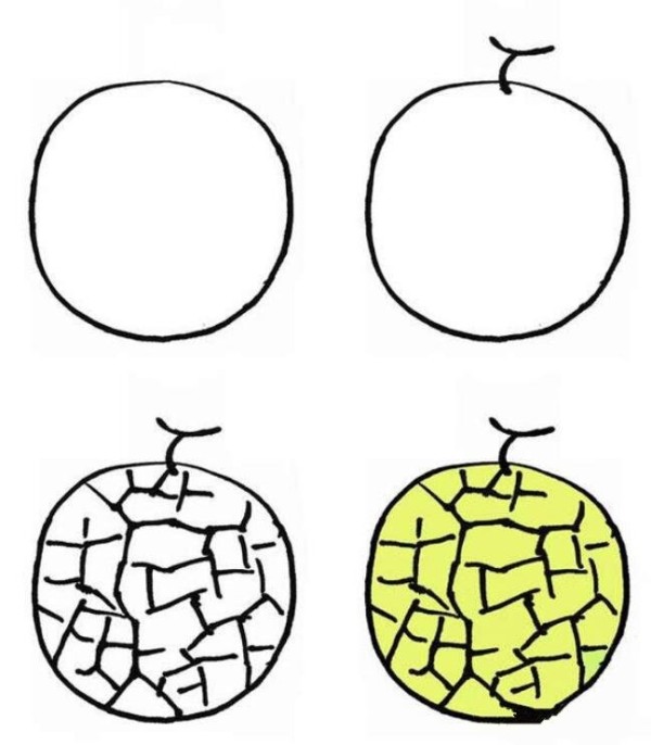 How to Draw a Cantaloupe