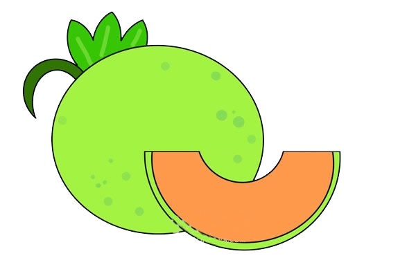 Simple drawing of green cantaloupe