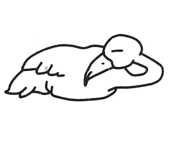 Simple drawing of sleeping flamingo