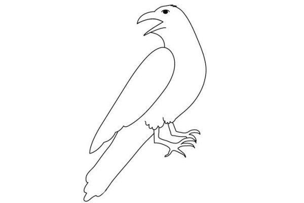 How to draw a crow in simple strokes