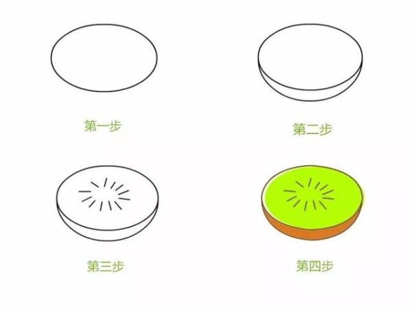 Simple drawing of cut kiwi fruit