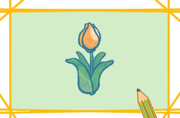 How to draw a tulip