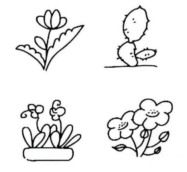 Simple drawing of potted plants with small flowers