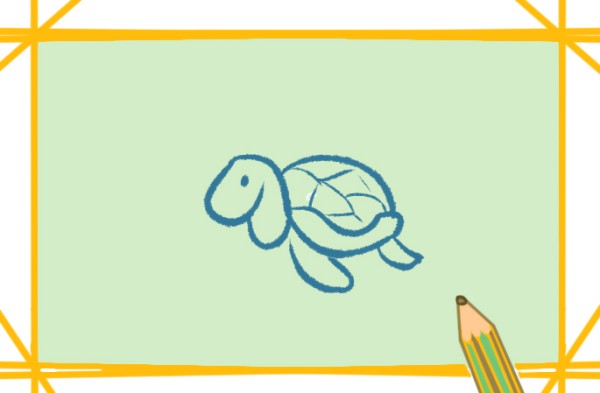 Green turtle simple drawing