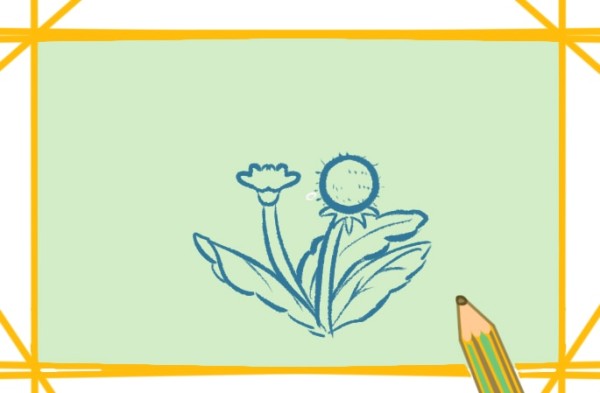 Simple and beautiful dandelion drawing