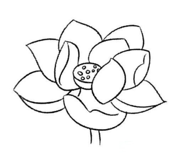 Beautiful lotus simple strokes