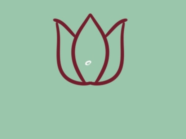 Simple drawing of pink lotus