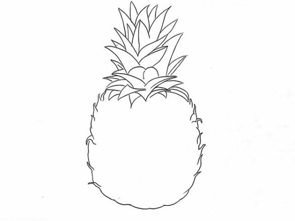 Simple drawing of colored pineapple