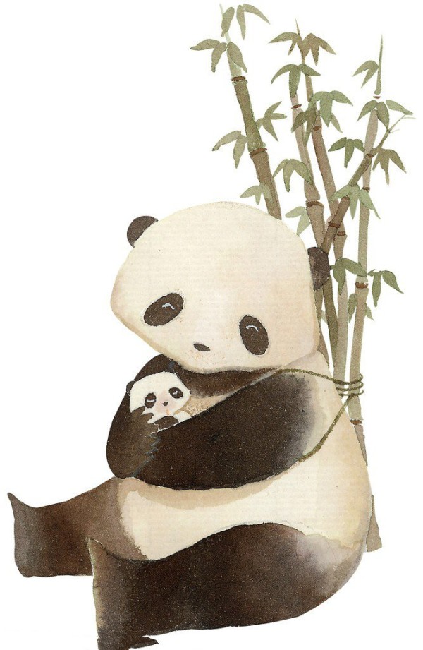 Classic childrens ink painting-Panda and Panda Mother