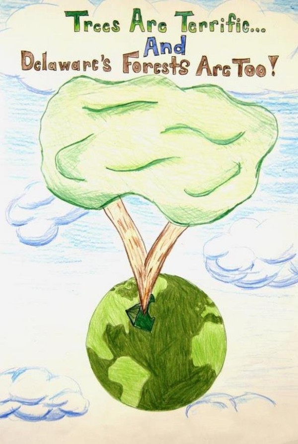 Protect the Earth, Care for Trees, Appreciate Arbor Day Pictures