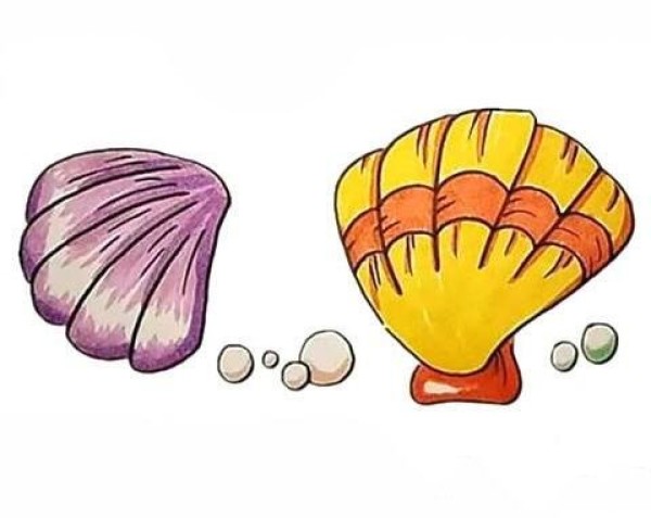 How to draw beautiful seashells and color them