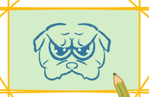 How to draw a fierce looking bulldog