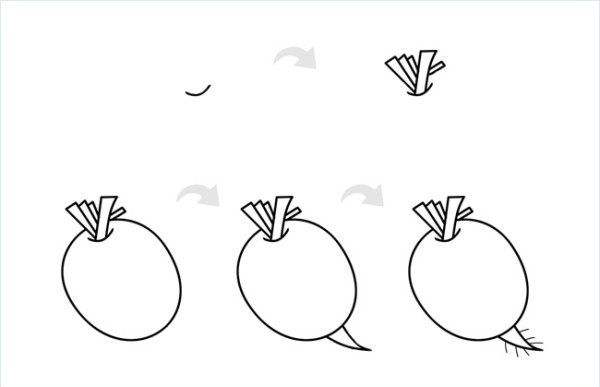 How to draw simple radish drawings