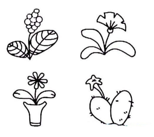 Simple drawing of potted plants with small flowers