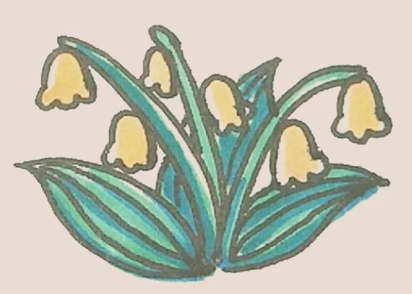 Simple drawing of lily of the valley