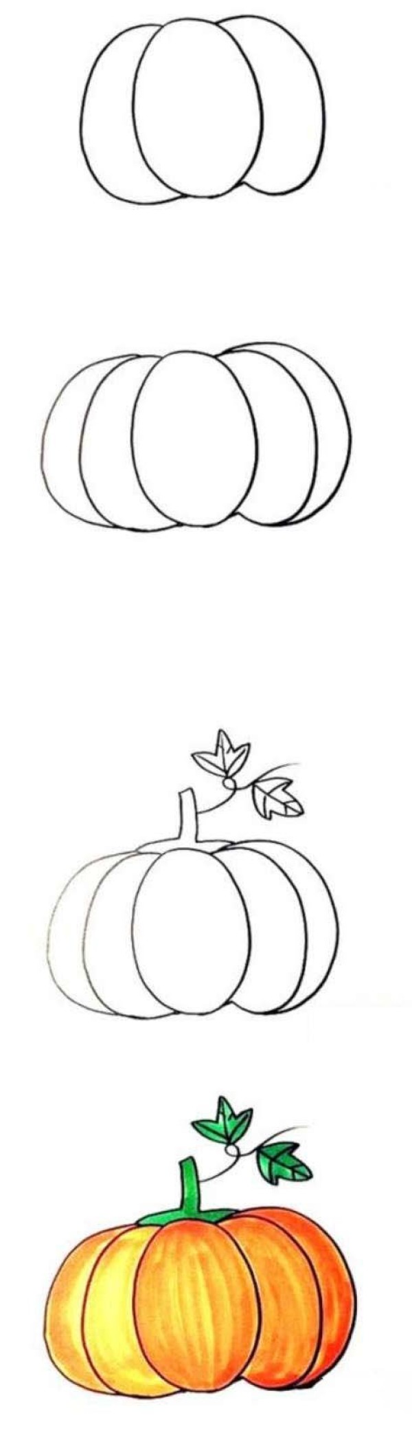 How to draw a mature pumpkin