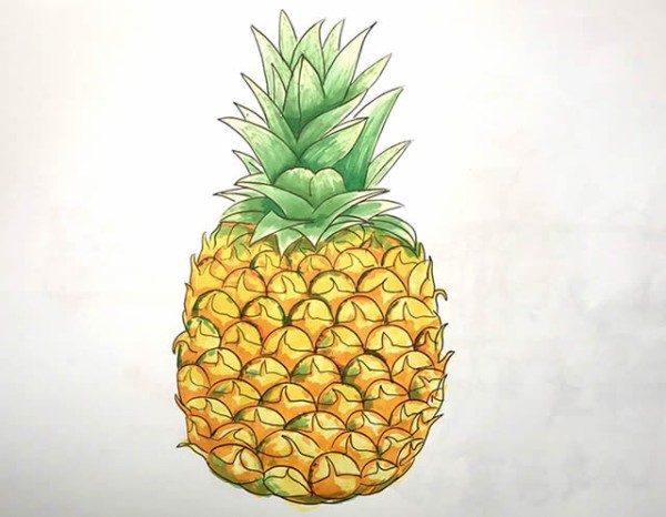 Simple drawing of colored pineapple