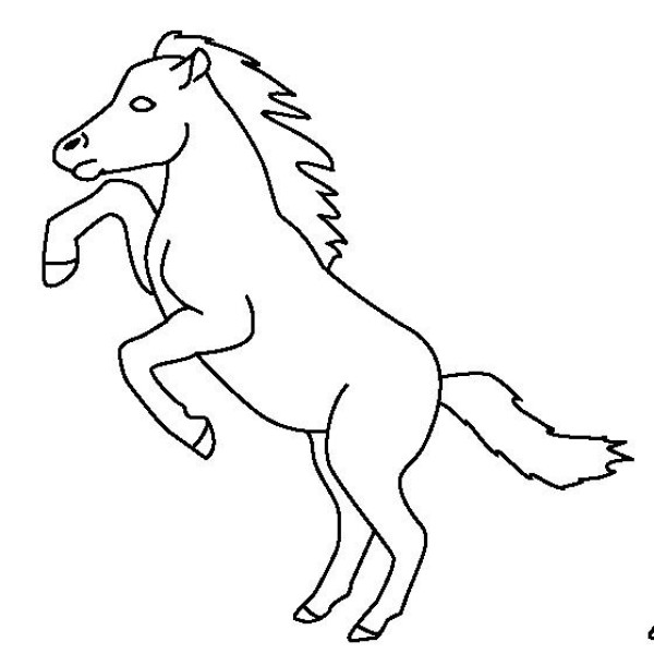 Complete collection of simple animal drawings, simple drawing pictures of pony