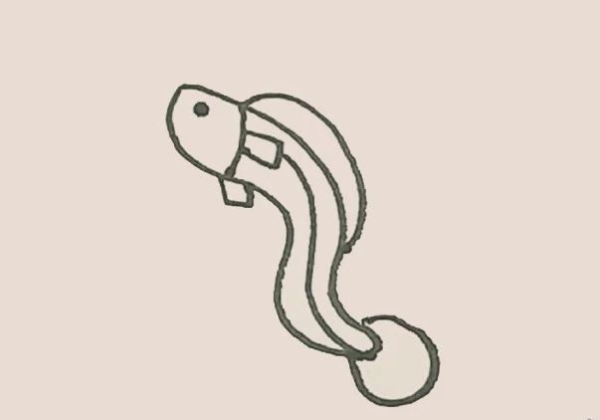 Simple drawing of eel