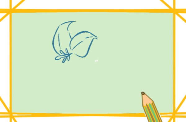 How to draw white lilies